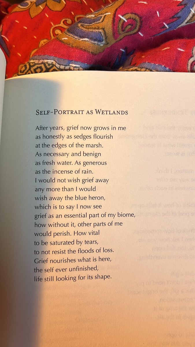 Rosemerry Wahtola Trommer •  The Unfolding