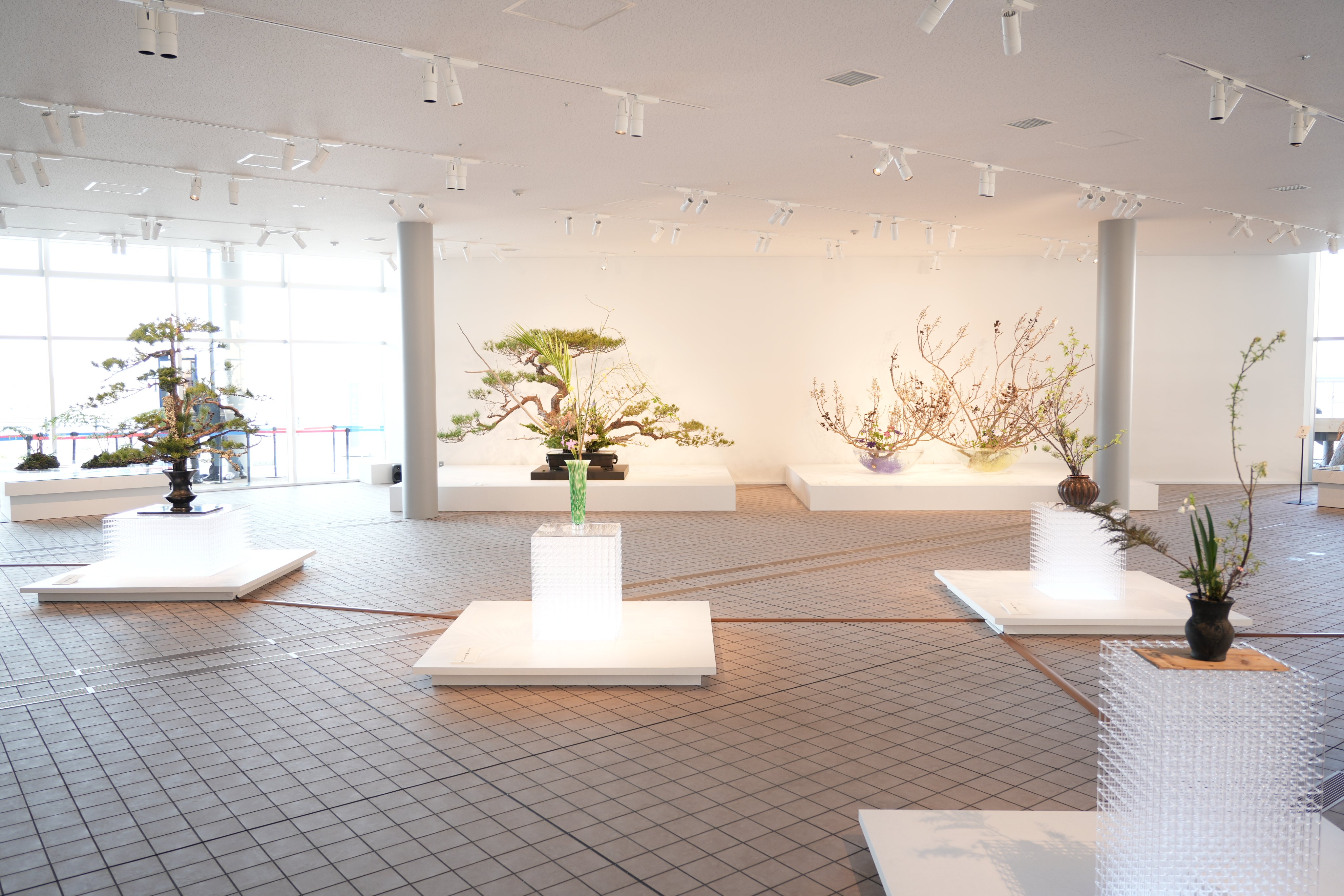 池坊家元 花器 大作 （いけばな大作実習」の作品が華道家元池坊