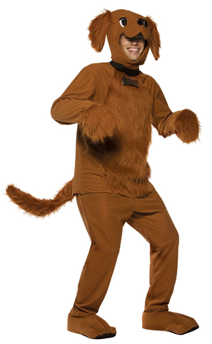 danstrausss's tweet photo. Me when my girlfriend comes home from work today: https://t.co/X3w7aPnB9k