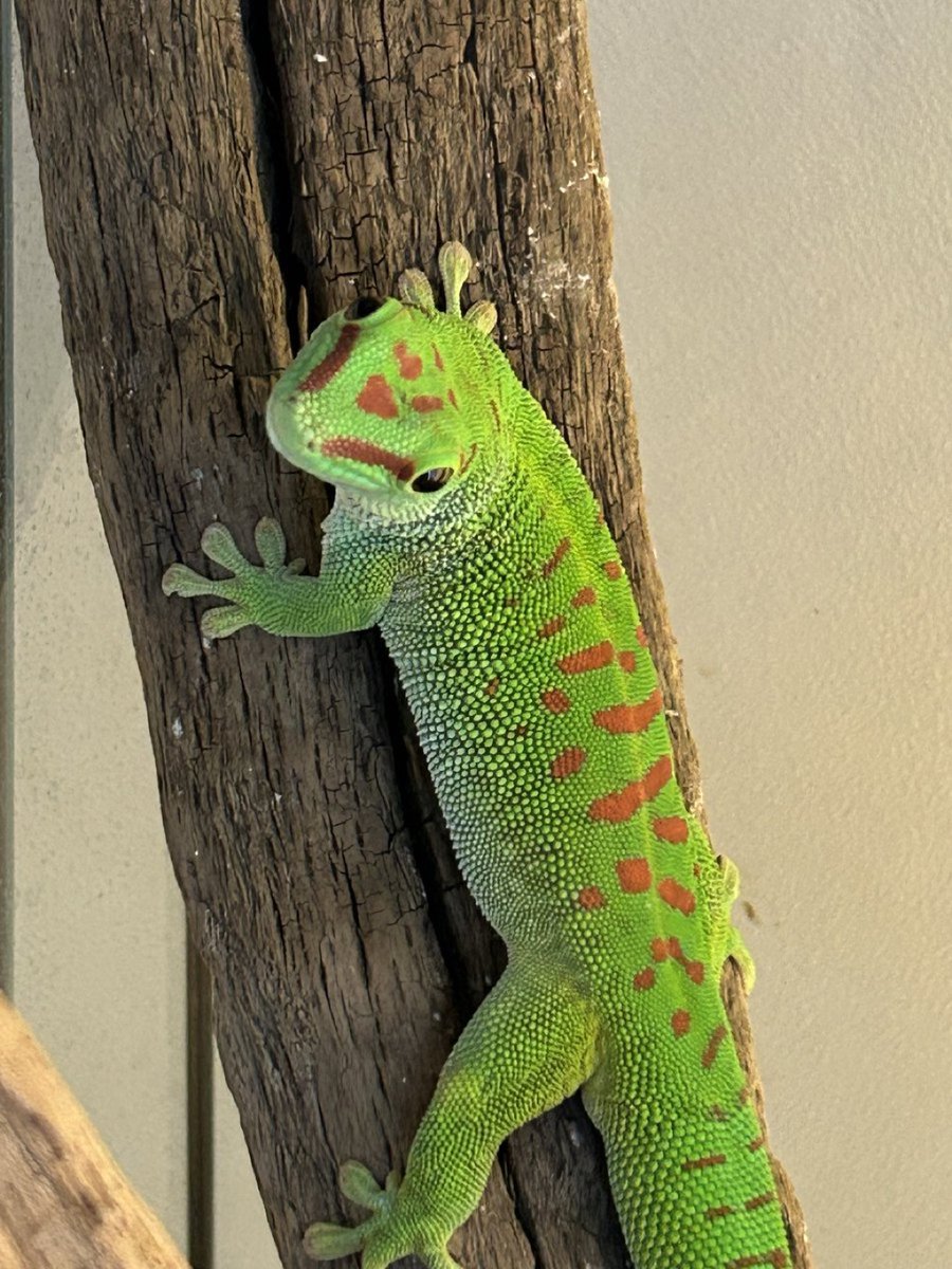 David Smith (@davidsmith1084) on Twitter photo 