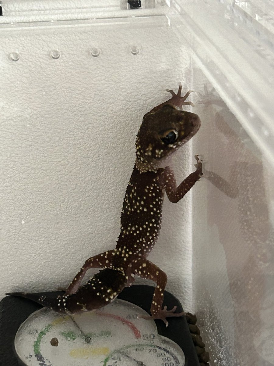 David Smith (@davidsmith1084) on Twitter photo 