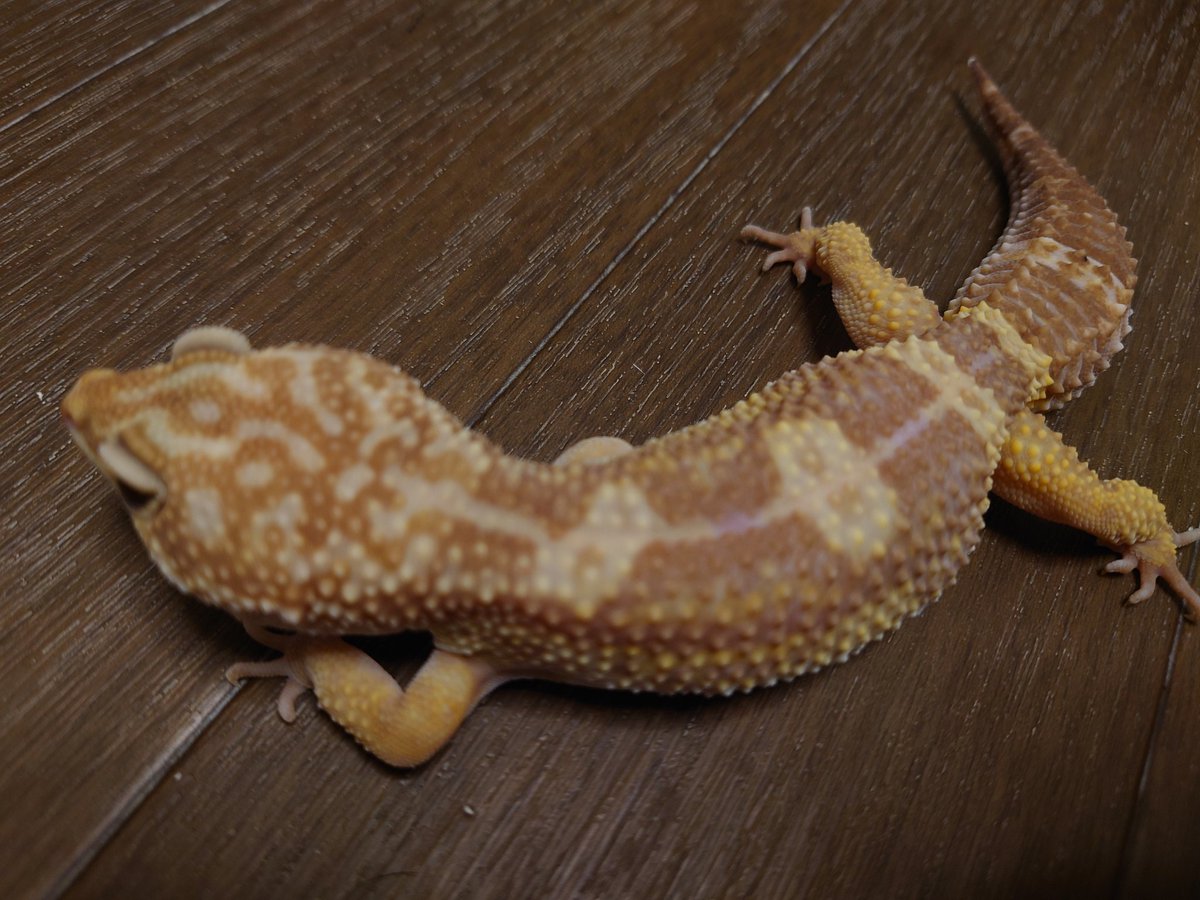 David Smith (@davidsmith1084) on Twitter photo 