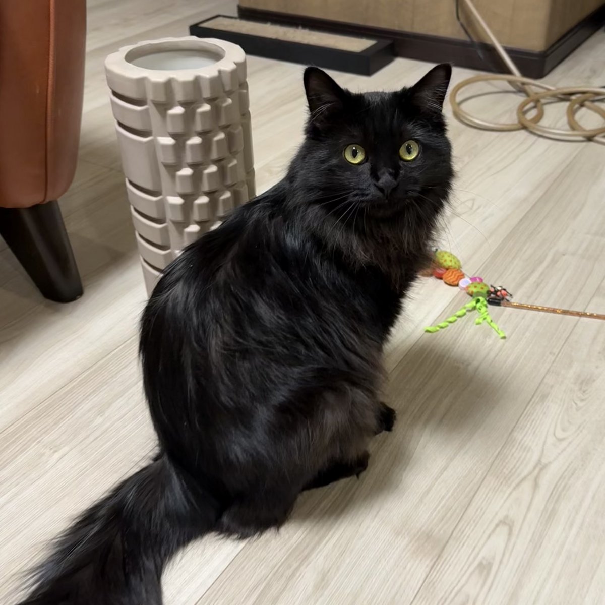 David Smith (@davidsmith1084) on Twitter photo 