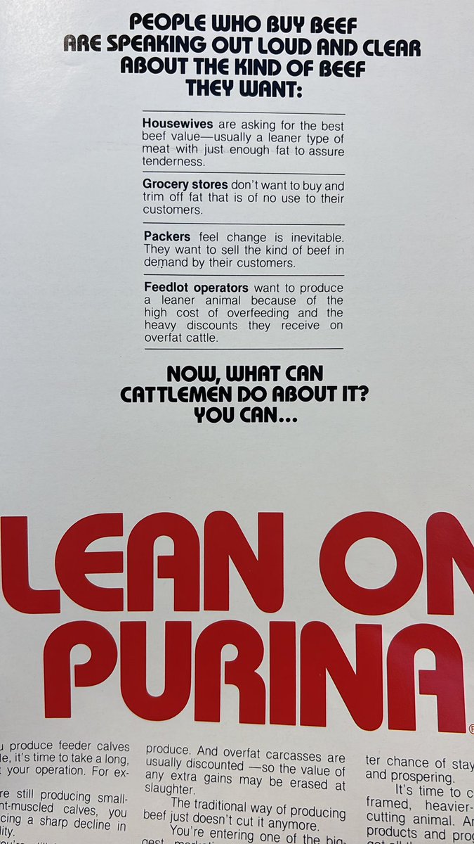 waltopher2's tweet image. Sept. 1981-  push from short stubby fats to the lean leggy continental influence- based on old photos from National Western it didn’t take long to achieve