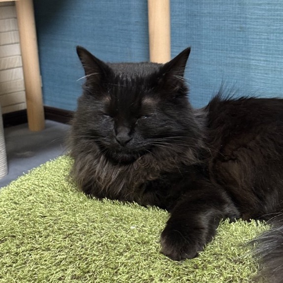 David Smith (@davidsmith1084) on Twitter photo 