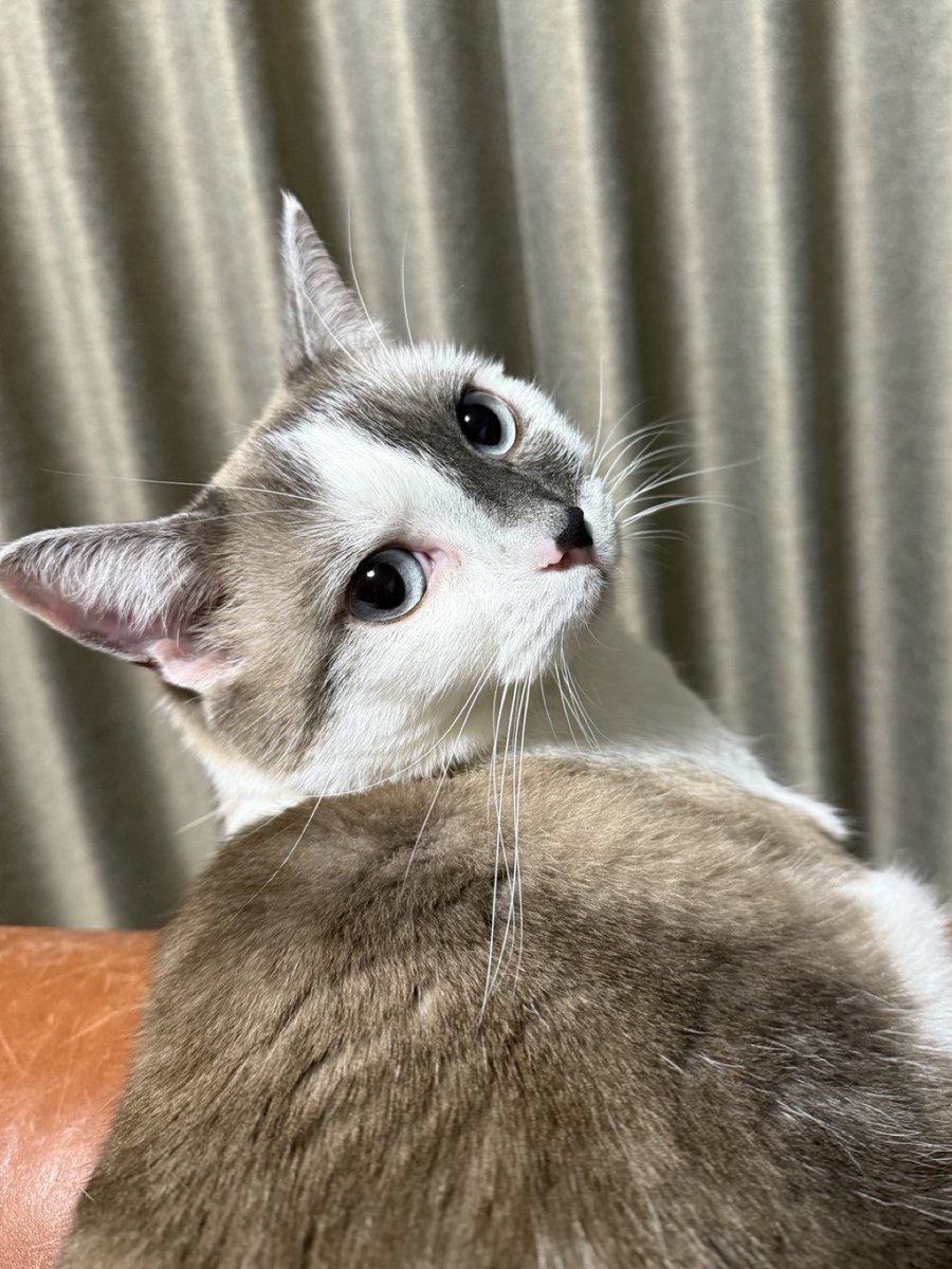 David Smith (@davidsmith1084) on Twitter photo 