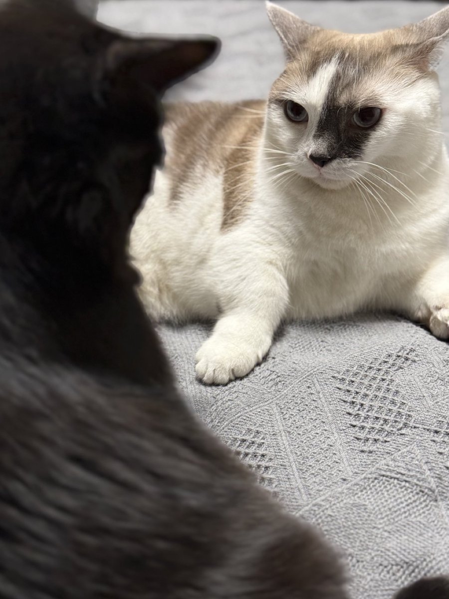 David Smith (@davidsmith1084) on Twitter photo 