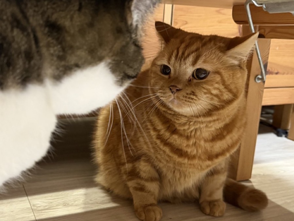 David Smith (@davidsmith1084) on Twitter photo 