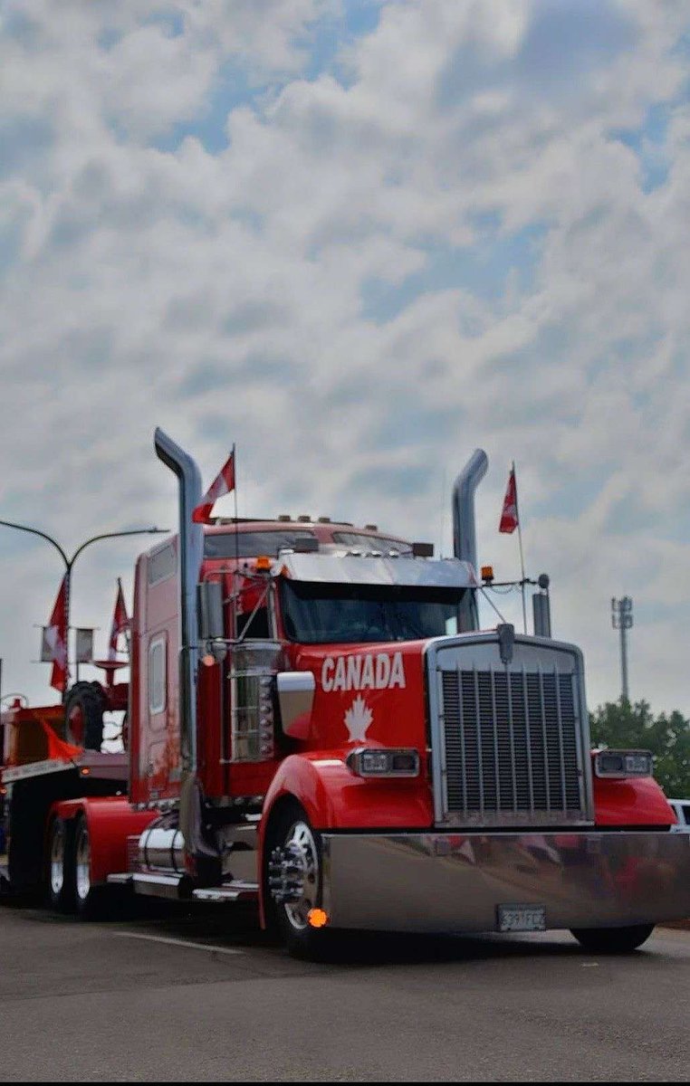Bad news: Crown prosecutor seeks 2-yr prison for Tamara Lich &amp; me for defending freedom, wants to seize &amp; auction my truck, Big Red. Red's family, carried my son, dog, &amp; 3.4M km. Led Freedom Convoy 2022, uniting us. Liberals aim to erase hope &amp; Convoy spirit to deter dissent.