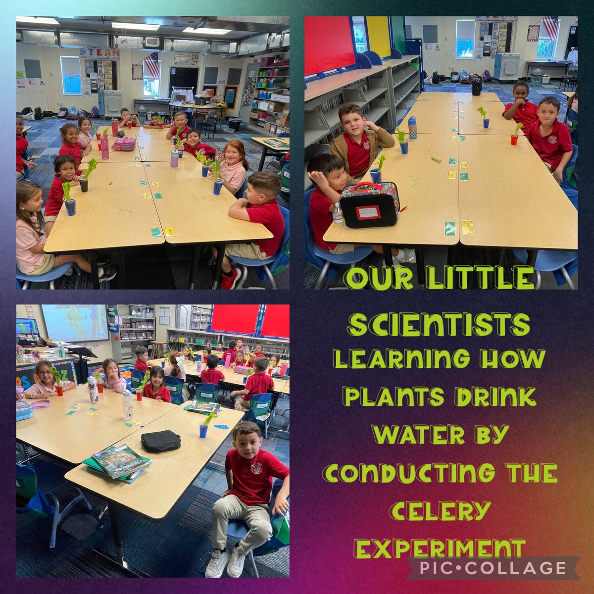 West Lakes Prep (@westlakesprep) on Twitter photo Learning about plants can be so much fun! 🌱 #pantherpride 🐾 #yourbestchoicemdcps <a href="/MDCPS/">Miami-Dade Schools</a> <a href="/MDCPSSTEAM/">M-DCPS STEAM</a> <a href="/MDCPSNorth/">M-DCPS North Region</a> <a href="/SuptDotres/">Jose L. Dotres, Ed.D.</a> Learning about plants can be so much fun! 🌱 #pantherpride 🐾 #yourbestchoicemdcps <a href="/MDCPS/">Miami-Dade Schools</a> <a href="/MDCPSSTEAM/">M-DCPS STEAM</a> <a href="/MDCPSNorth/">M-DCPS North Region</a> <a href="/SuptDotres/">Jose L. Dotres, Ed.D.</a>