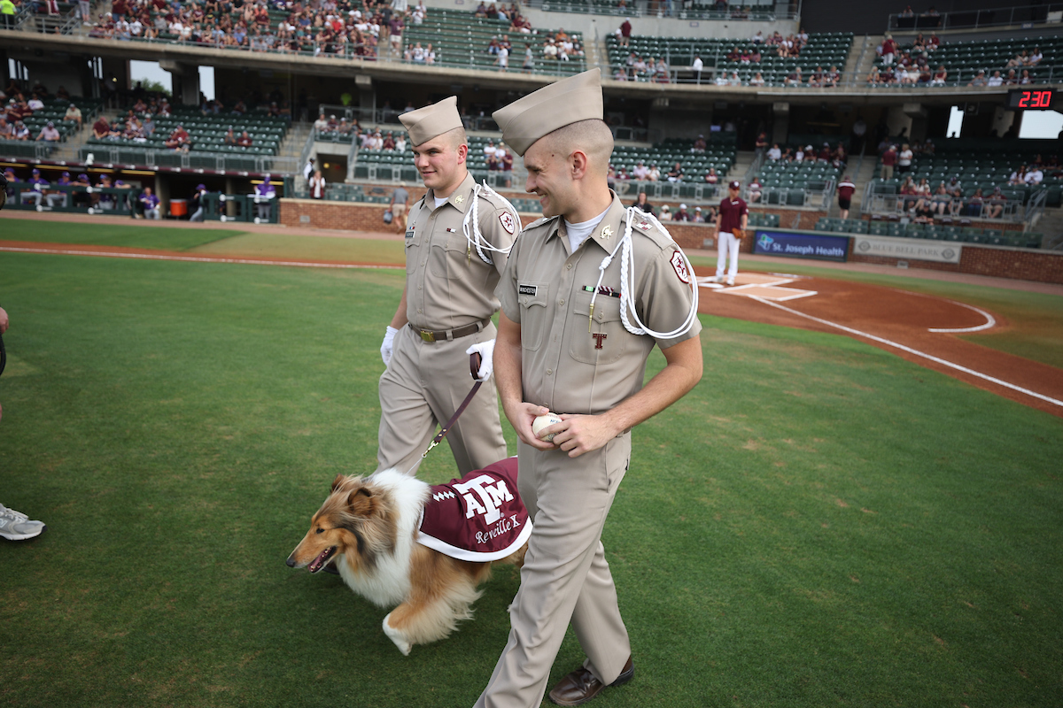 reveille's tweet image. They throw the ball how fast?? What a day to support my Fightin' Texas Aggie baseball team with my Wilson!
#TAMU #GigEm