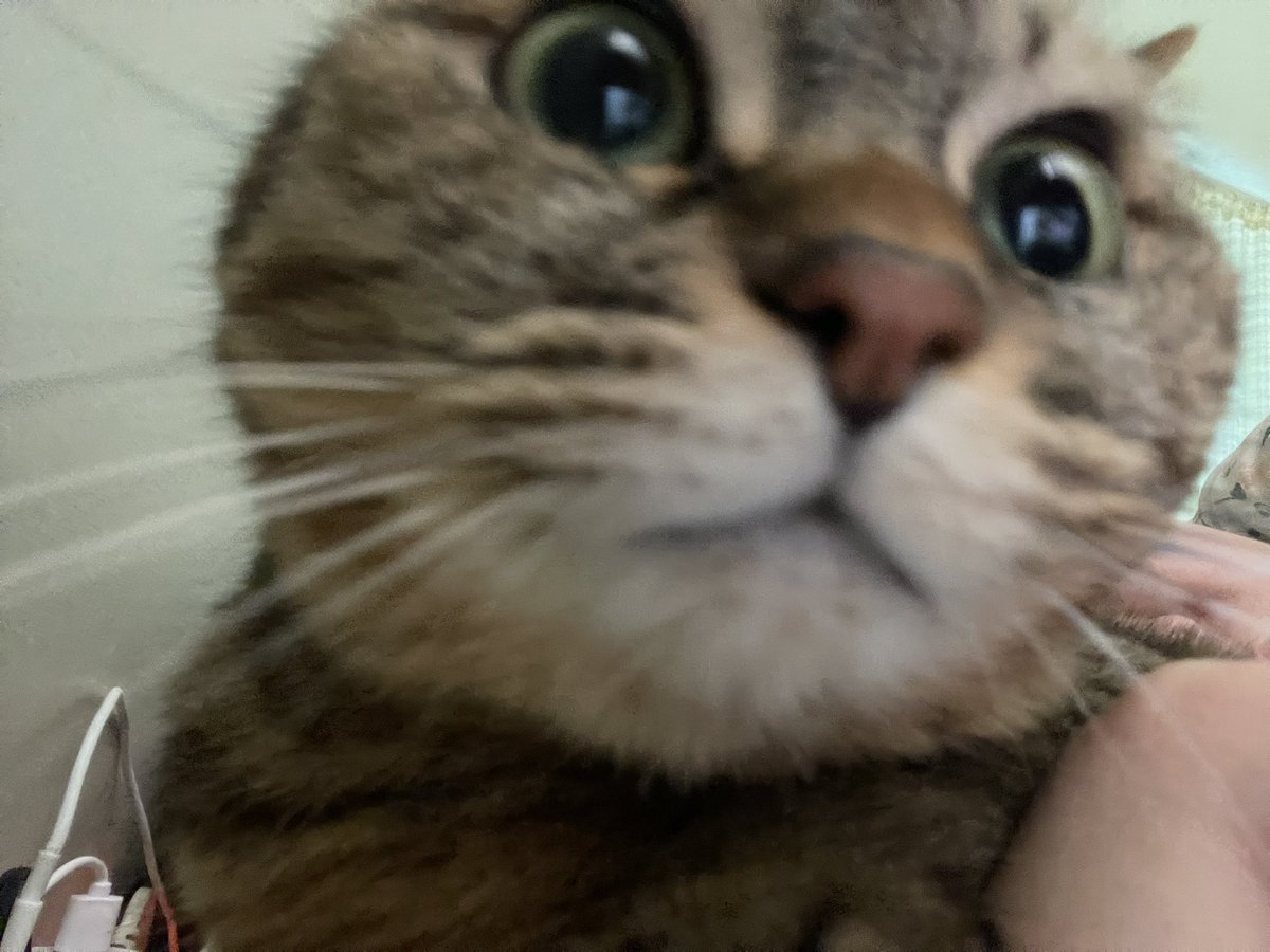 일어나세여
수면 권잘량,
권장냥.. 냥
권장양을 넘엇어여