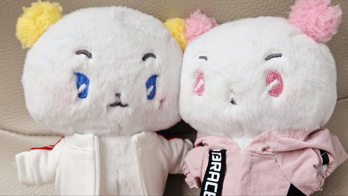 바람따위.. 우릴 막지 못해! .. 지만 추우니까 옷 입쟈..

져지&amp;바람막이: <a href="/thanpan09/">땡글빵글🌸홍대 인형옷소품샵 와우산로29길44</a>