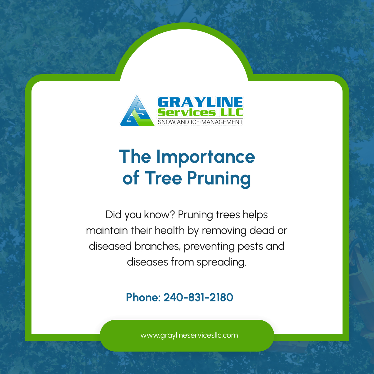 Graylinesvcs's tweet image. Pruning promotes tree health and prevents future issues. Ensure your trees remain healthy by scheduling a pruning service today. 

#TreePruning #CollegeParkMD #LandClearingService