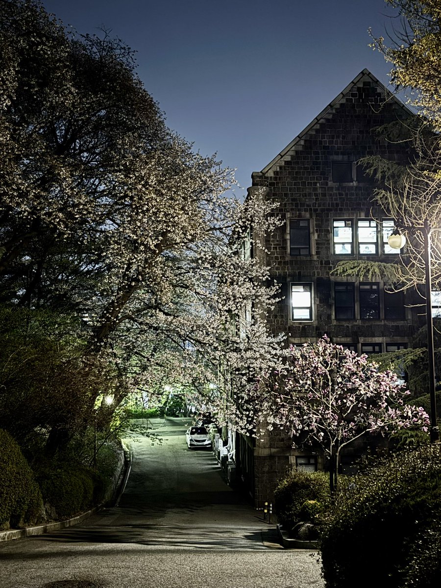 경이로운 #퇴근길, #봄밤, #연희관