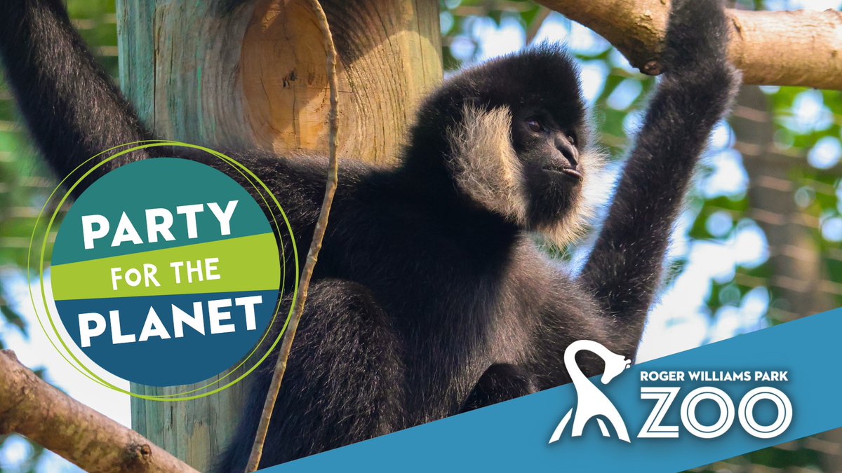 ⭐ Tonight our FREE  event at the RWP Casino
🌎 Celebrate Earth at <a href="/RWPMuseum/">RWP Museum</a> 
🧚‍♂️🧚‍♀️Fairy Garden Days are here <a href="/RWPBotanicalCtr/">RWP Botanical Center</a> 
🥳 Party for the Planet &amp; Dinosaurs <a href="/RWPZoo/">Roger Williams Park Zoo</a>