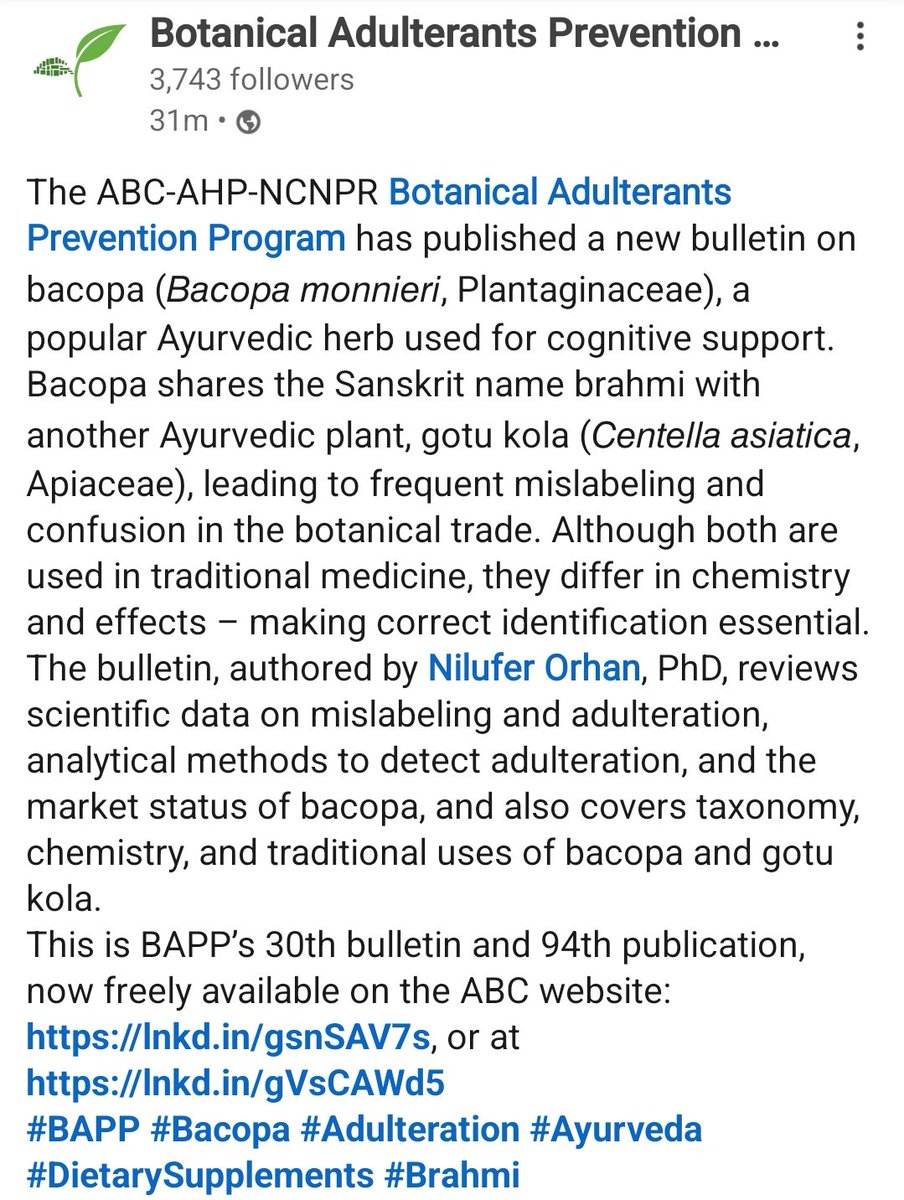 Nilufer Orhan tweet media