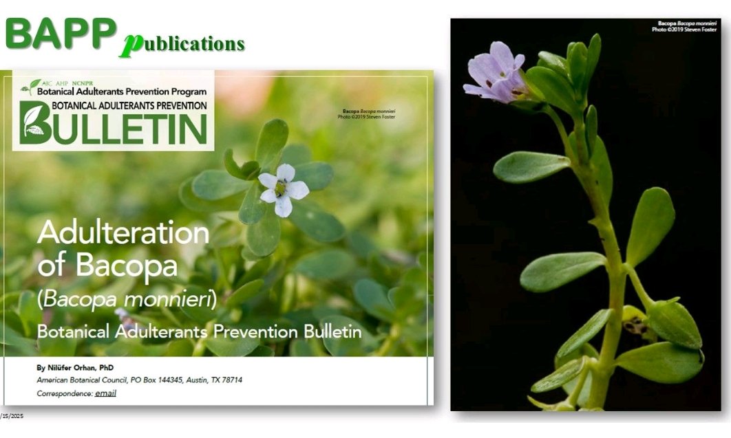 Nilufer Orhan tweet media