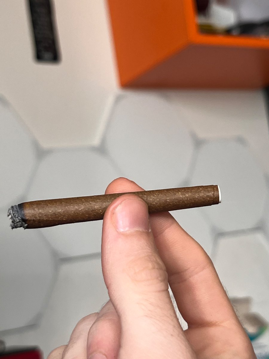 blunt di primavera gli alberi sono in fiore