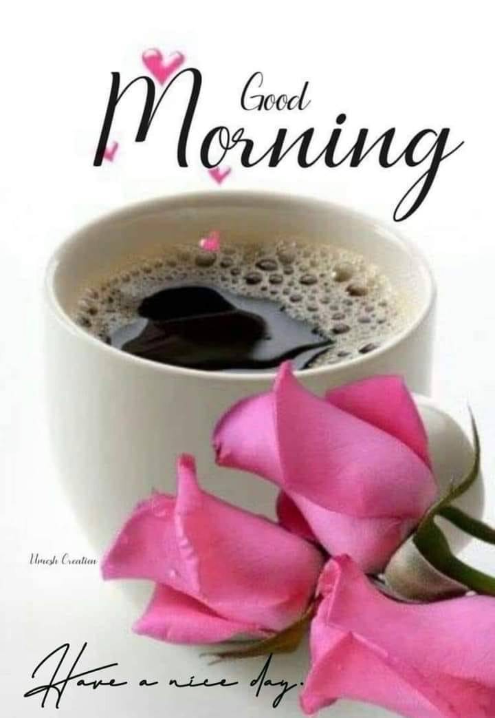 unclekui52's tweet photo. Have a nice day 
16/04/2025 https://t.co/0ODHU8J3fZ