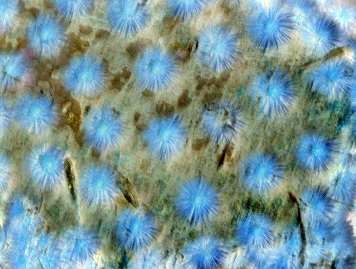 Them_mag's tweet image. Them magazine No.057 “Colorful Spring”

Theory is grey, but the golden tree of life is green

Photography: MARCELO GOMES
Edit: KO UEOKA

#colorfulspring
#themmagazine