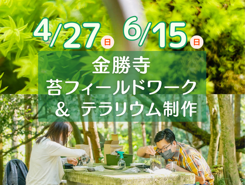 rittokanko's tweet photo. 新緑が美しい季節ですね🌱
苔に触れテラリウムの制作に没頭するオトナの自分時間を体験してみませんか？
金勝寺　苔フィールドワーク&amp;テラリウムワークショップ  受付中📷

詳細・ご予約は 📷https://t.co/wWrSh3KGrK
#苔
#苔テラリウム 
#苔ワークショップ 
#金勝寺 https://t.co/guR1Wo5dFm