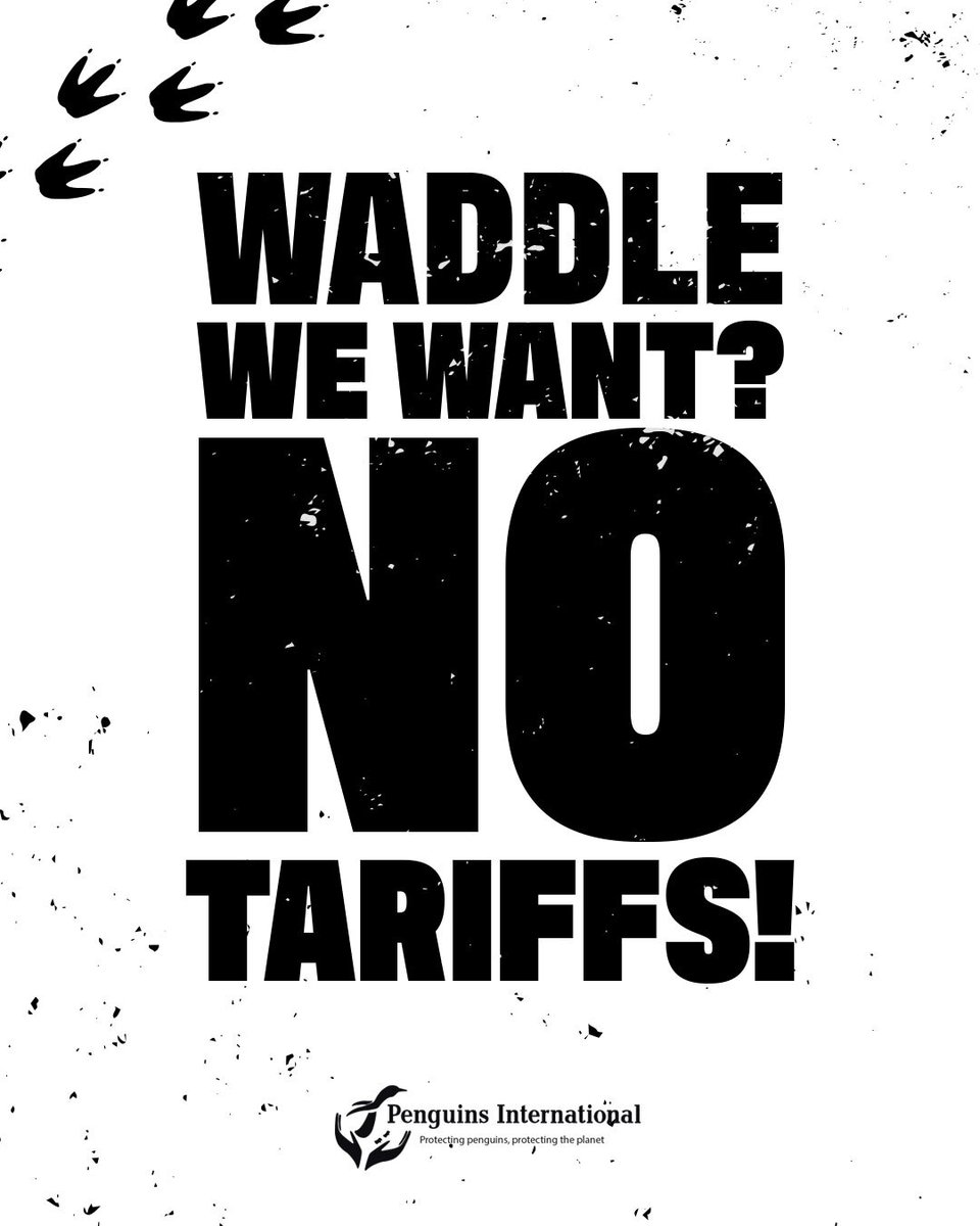 Penguins International tweet media