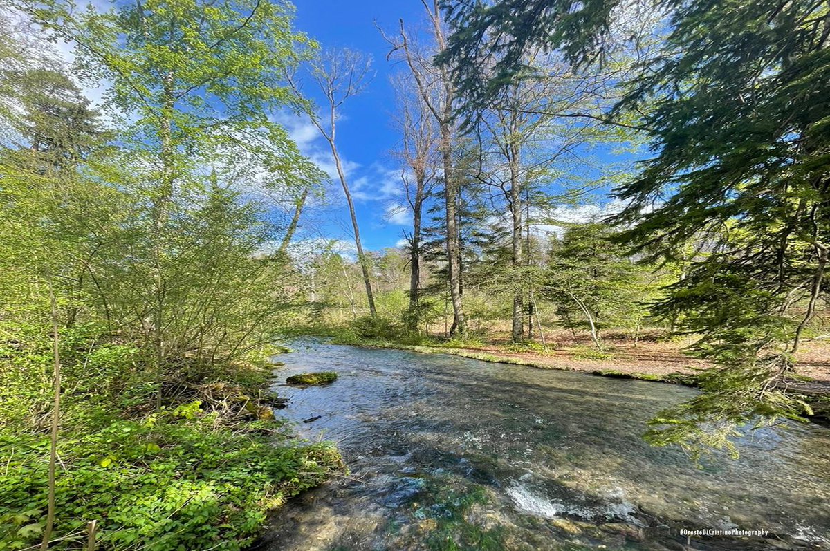 La primavera profuma di vita nuova, e i colori, intensi e vivaci, si  specchiano nell’acqua cristallina del ruscello. In questo scenario incantato, la natura si risveglia in tutta la sua bellezza, regalando  attimi di pura meraviglia e armonia.

#OresteDiCristinoPhotography