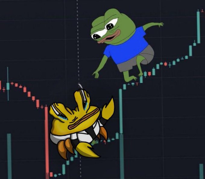 SirbuAlexandr10's tweet photo. GM, crab people! $snibbu $eth $pepe $dodo $bobo $mumu https://t.co/7EAbcdF8AY