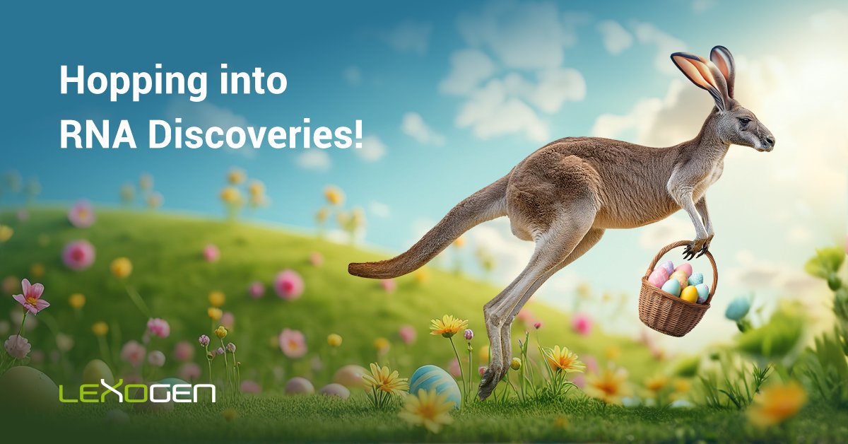 🐰 Don’t worry, be hoppy!
New Lexogen users get up to 50% off whole transcriptome sequencing (48+ samples).
🌱 Valid for plant &amp; animal RNA-Seq ‘til June 30!
🎁 Claim here: rna.lexogen.com/services-intro…
#RNASeq #Lexogen #SpringOffer