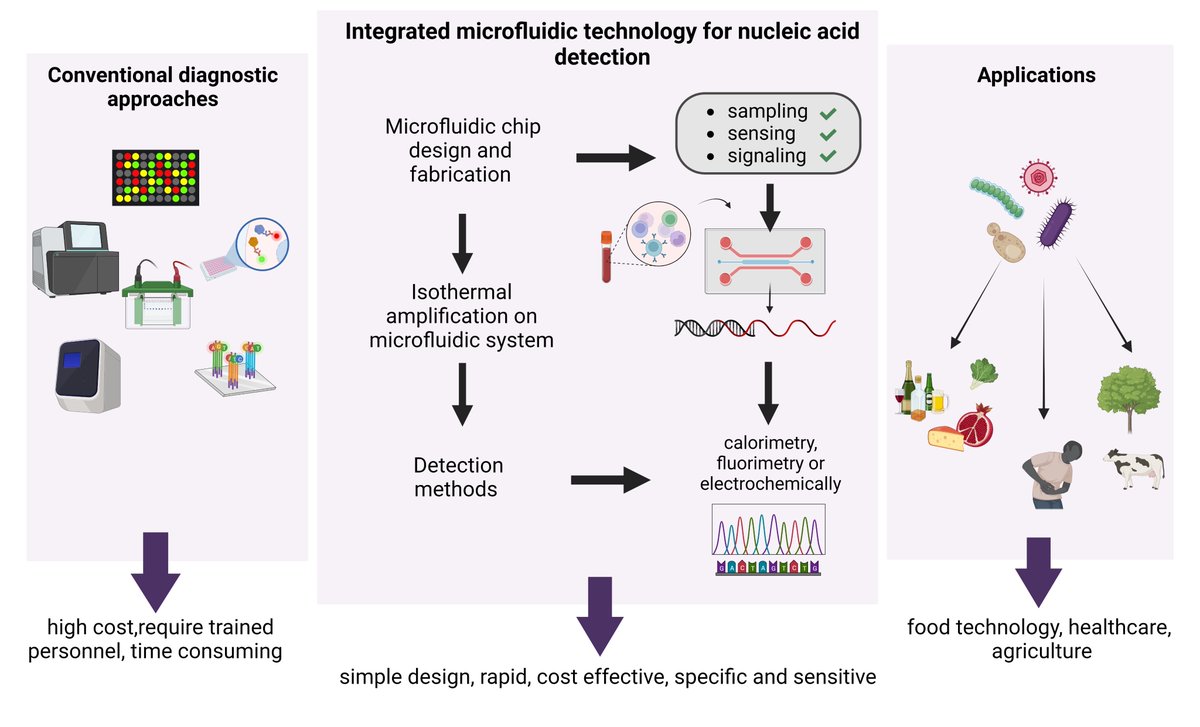Biosensors_MDPI's tweet image. #Perspective
Prospects of Microfluidic Technology in Nucleic Acid Detection Approaches
mdpi.com/2315364
@MDPIOpenAccess
@ChemMatSci_MDPI 

#nucleicaciddetection #microfluidics #portable #moleculardiagnostics