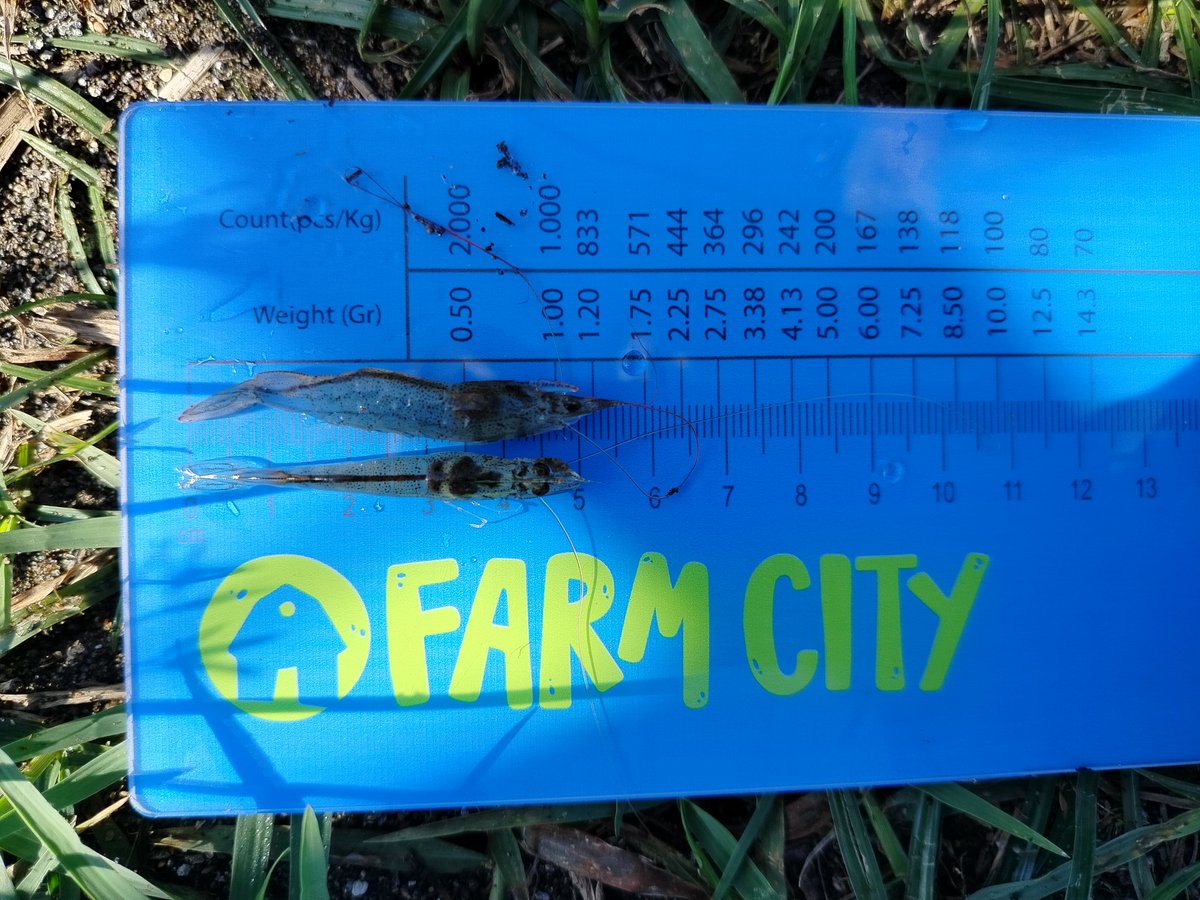 FarmCity tweet media