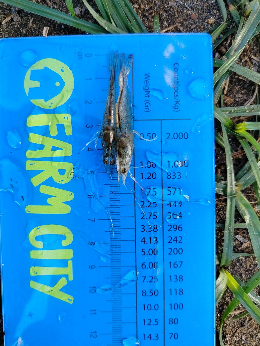 FarmCity tweet media