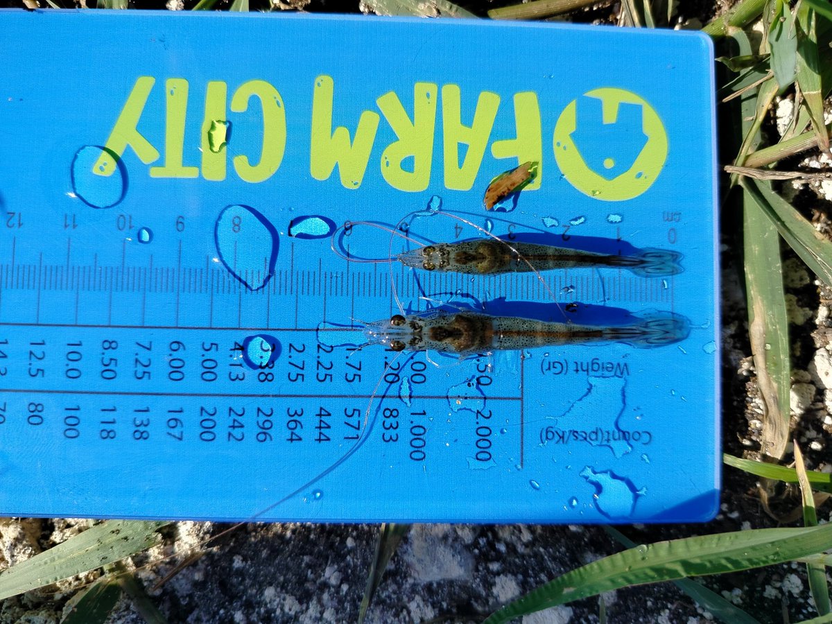 FarmCity tweet media