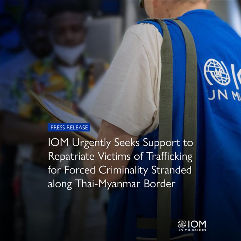 IOM Asia-Pacific (@iomasiapacific) on Twitter photo “I prayed to return home every day,” shared one of the survivors.
IOM calls for urgent support to repatriate over 1,000 victims of trafficking stranded along the Thai-Myanmar border, after having escaped scamming centres in Myanmar.
Read more: bit.ly/4jx0nyb “I prayed to return home every day,” shared one of the survivors.
IOM calls for urgent support to repatriate over 1,000 victims of trafficking stranded along the Thai-Myanmar border, after having escaped scamming centres in Myanmar.
Read more: bit.ly/4jx0nyb