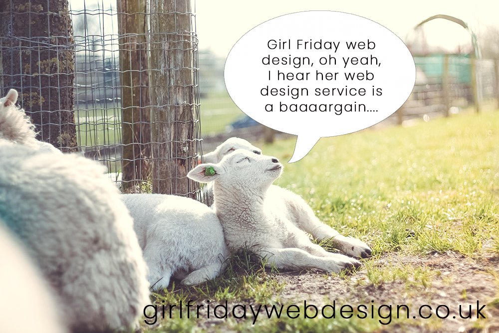 When you see the #springlambs jumping with joy in fields around the #UK think of me &amp; my #webdesign #business - because that is exactly how you will feel when I've built a bespoke website for YOUR business 🐑

Get in touch for a quote 😊