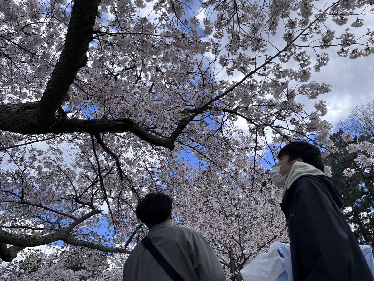 学生がお団子を買ってきてくれたので、急遽お花見に行ってきました🍡！
今回はちょうど見頃で、満開でした🌸🌸🌸
#お花見　#三神峯公園　#宮城大学　#食産業学群