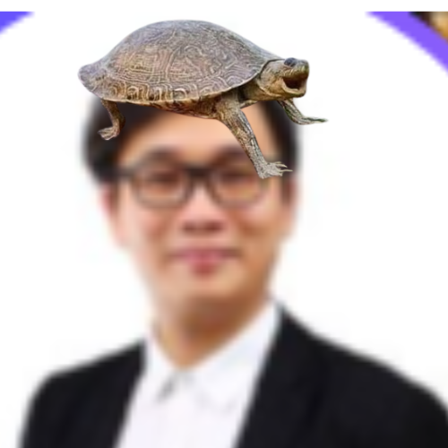 TurtleDogSol tweet picture