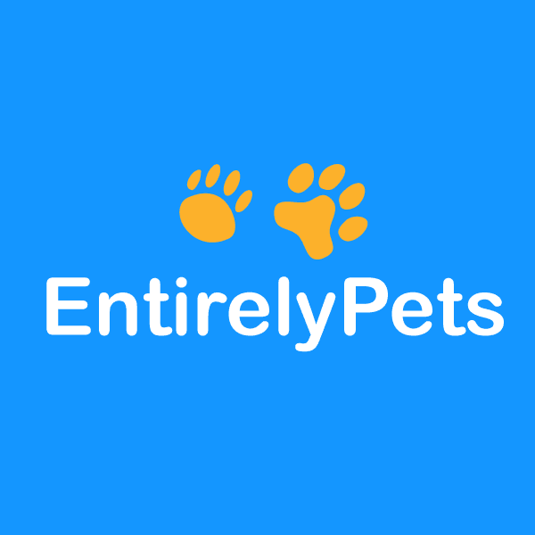 Thinking of ordering pet meds online?
Here’s my honest review of EntirelyPets customer service — the wins, the delays, and what you need to know before clicking add to cart. 🛒🐶
📦 Real experience. Real results.
🔗 Read the full story → tinyurl.com/entirepets
#EntirelyPets