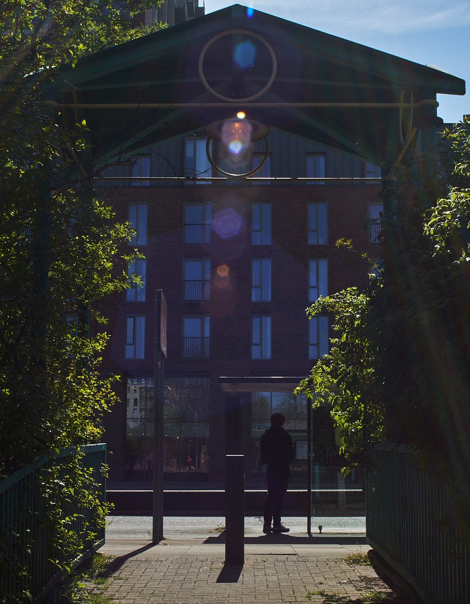 Bankole Oluwafemi tweet media