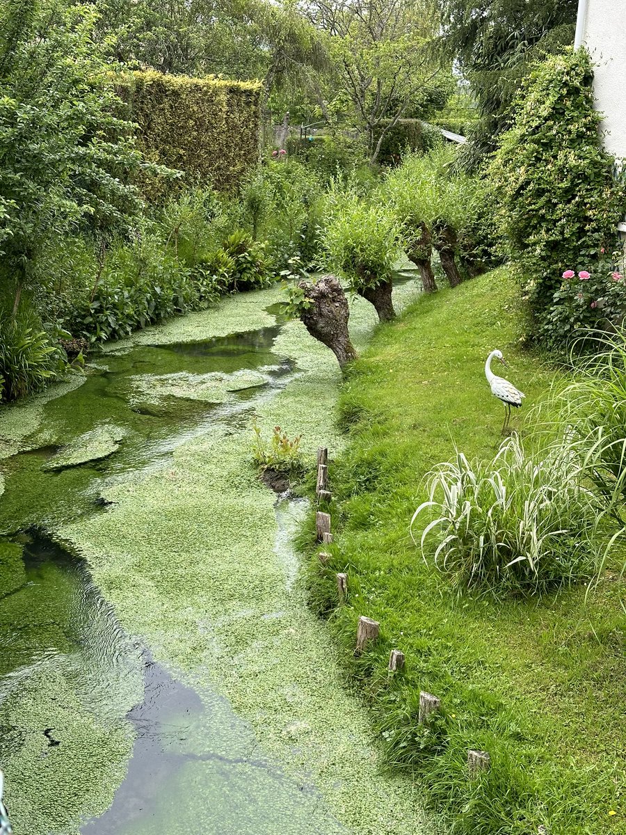 Average Vermeer Enjoyer tweet media