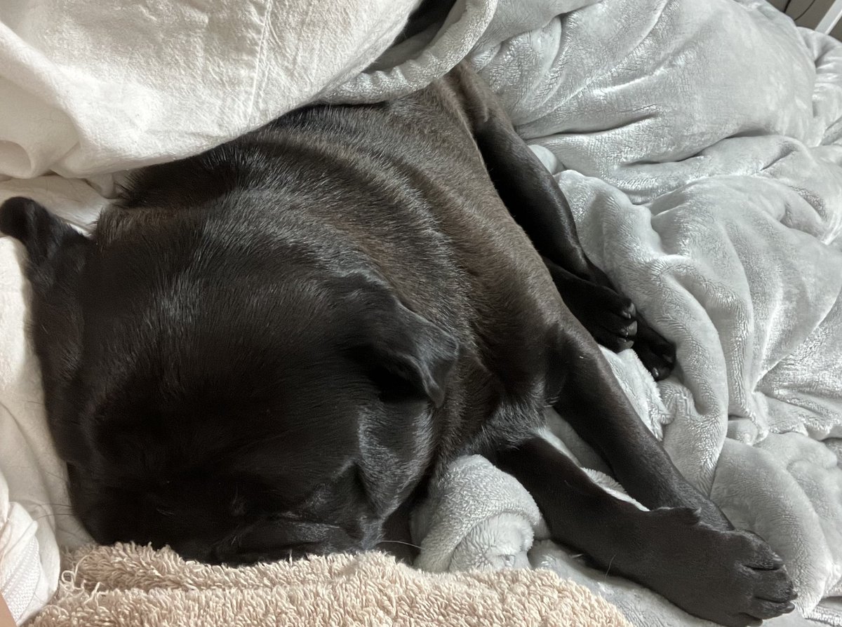 歯抜いた。

メキメキって音してた。

麻酔のおかげで、音に反して抜く時の痛みは全然なかった。

麻酔ってすごいなって思った。