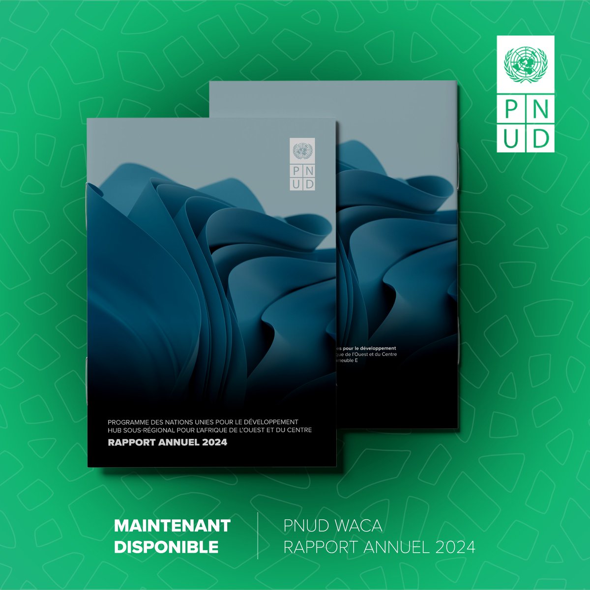 💥 24 pays
💬 Des millions de personnes touchées à travers la région
🌱 D’innombrables récits de résilience

Notre Rapport Annuel 2024 est désormais disponible. 📚

Lisez le rapport complet et découvrez l’impact derrière les chiffres 👉 go.undp.org/39N 🚀