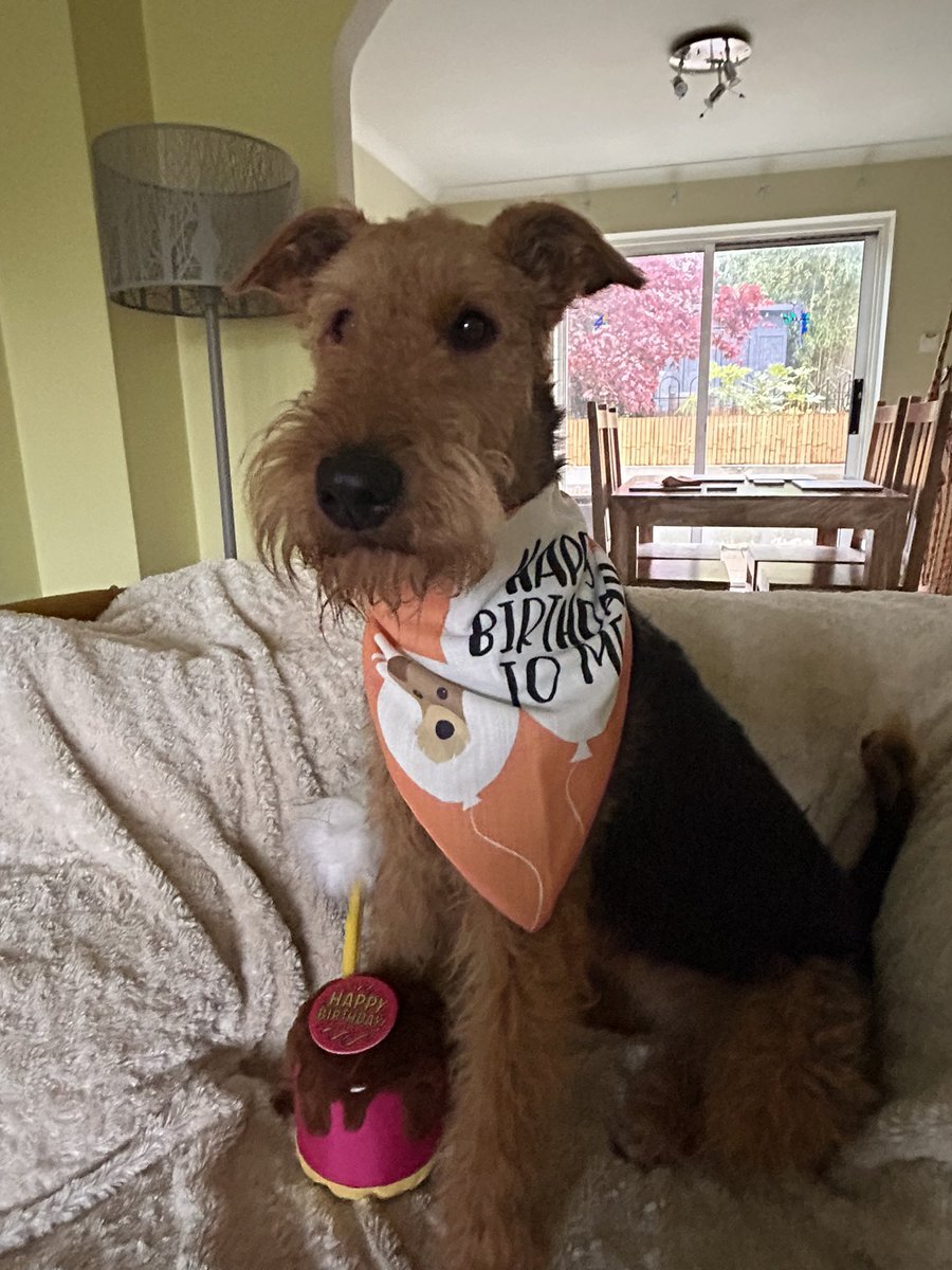 Phoebe & Hugo Dale🌈Jack and Molly OTRB🌈 tweet media