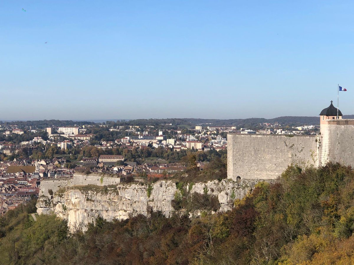 The History Syndicate Podcast tweet media