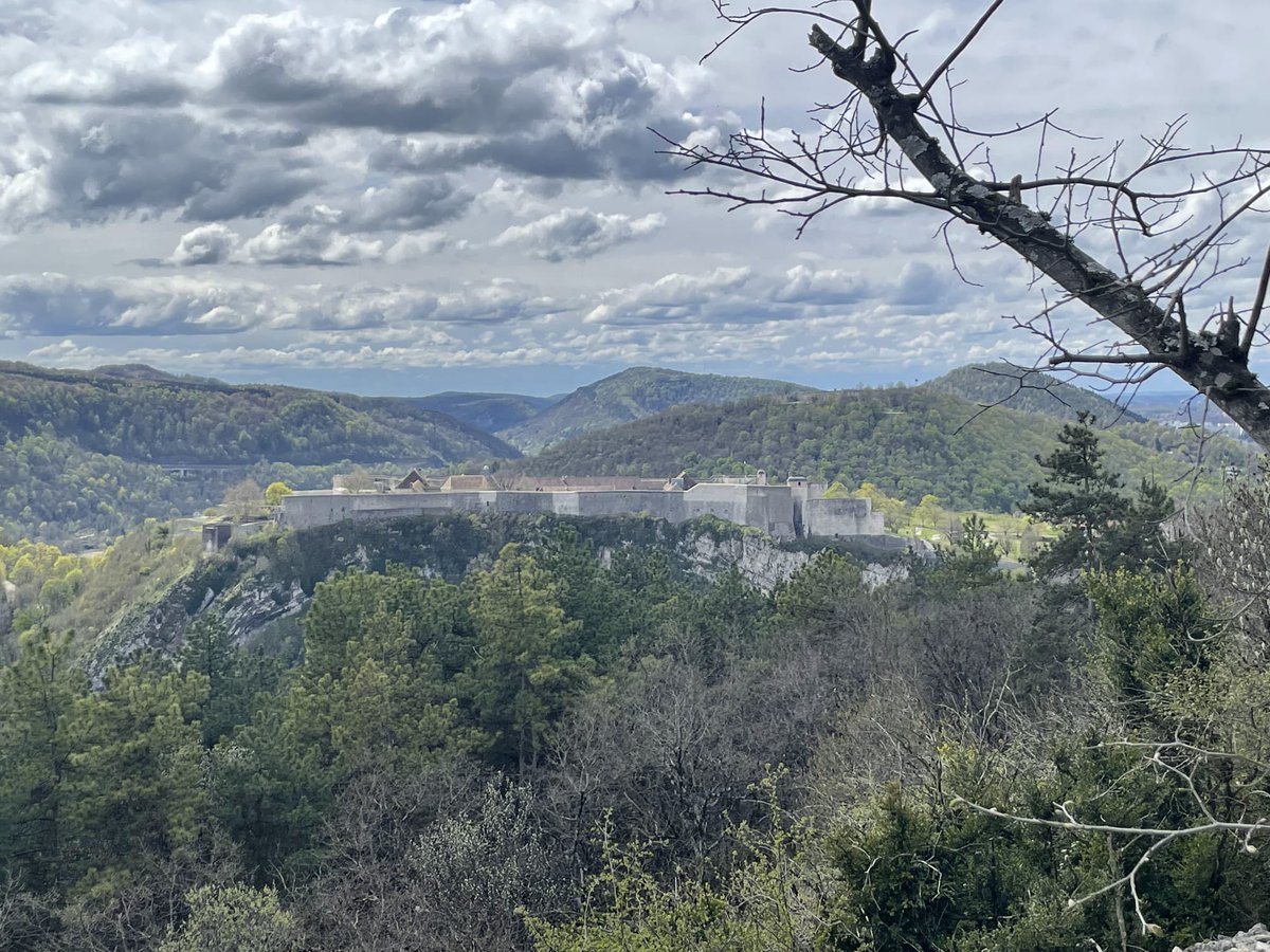 The History Syndicate Podcast tweet media