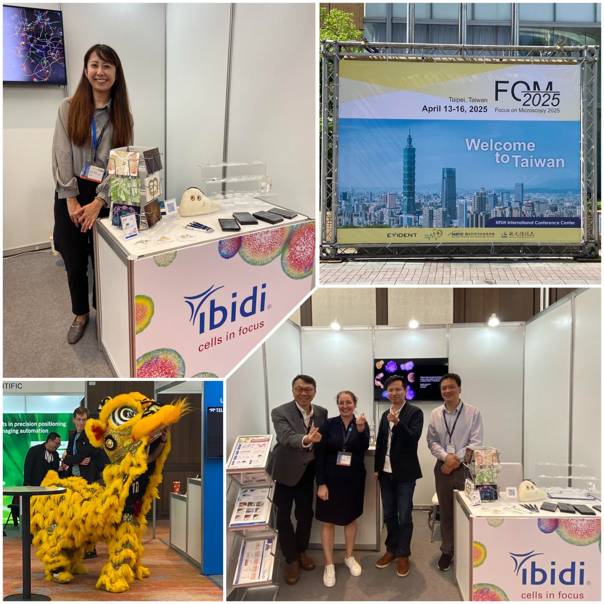 ibidiCells's tweet image. 📸Highlights from #FOM2025 in #Taipei!

We&apos;re having a great time connecting with researchers &amp;amp; showcasing ibidi&apos;s latest in #opticalmicroscopy🔬

🧫Thanks for stopping by Booth #4! Still time to visit &amp;amp; explore our innovative #solutions.

#microscopy #research #innovation