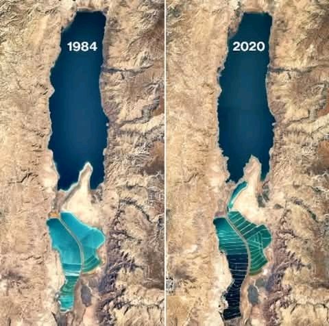 #DeadSea, located between Israel and Jordan, has gone through big changes over the years. In 1930, it was much larger, covering about 410 square miles (1,050 square kilometers). But today, it has shrunk to just 234 square miles (605 square kilometers).