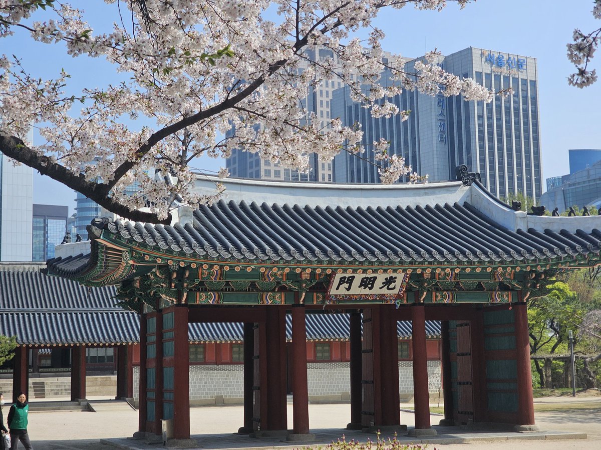 aochariGO's tweet photo. ���直、思い付きで韓国よったからなんの宛も無くとりあえずソウル駅行って歩いて色々回った
5、6kmは歩いたと思う🚶‍♀️
ほんとはレンタル自転車借りたかったけどなんか決済ができずダメだった

帰りの電車にも乗れたので無事間に合うことでしょう https://t.co/2jPskt0s5X
