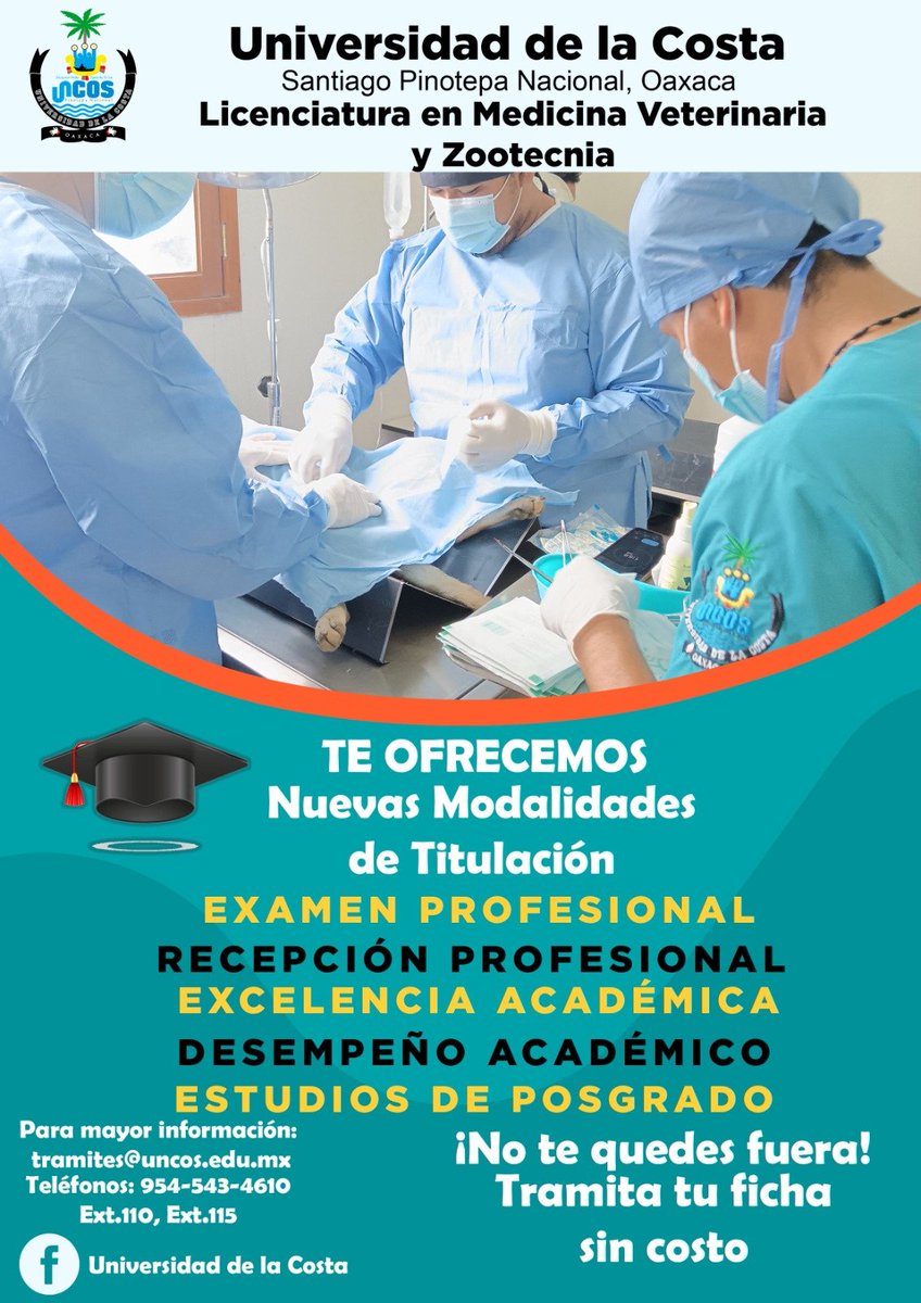 UNCOS_SUNEO's tweet image. ¡Buenas noticias! 

La Universidad de la Costa amplía tus oportunidades profesionales ofreciendo nuevas modalidades de titulación en nuestras carreras de:
✅ Licenciatura en Enfermería
✅ Licenciatura en Medicina Veterinaria y Zootecnia

#Pinotepa #SUNEO